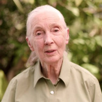 20191013janegoodall