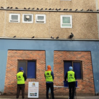 20200809sikhvolunteerscasey