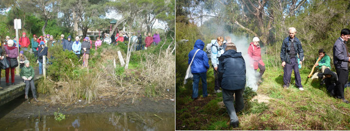Balcombe Creek 