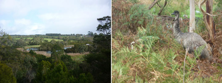 balcombe creek