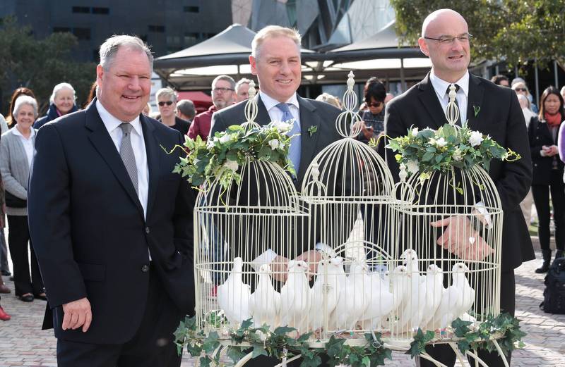 peace-fed-doves